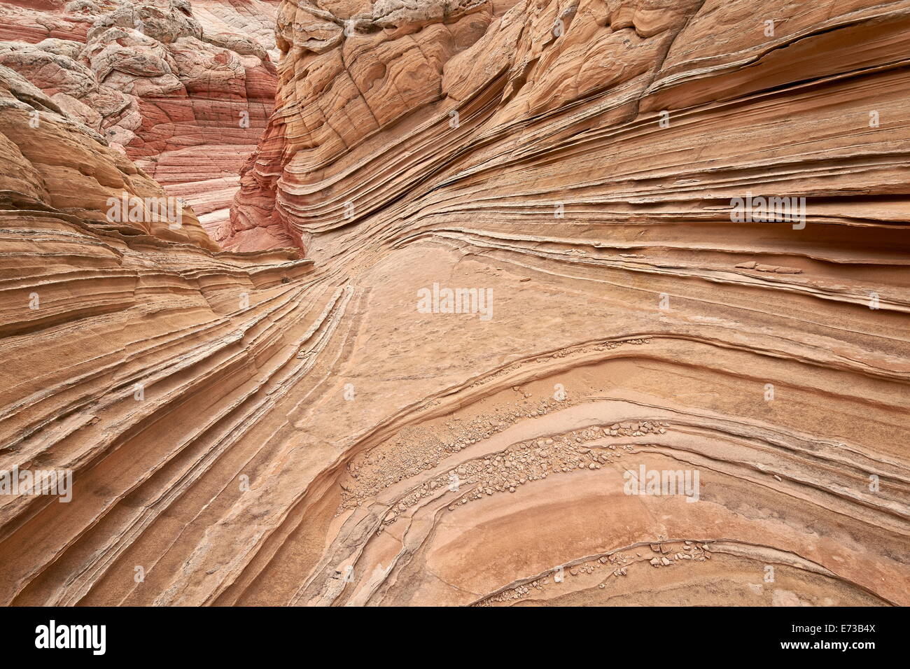 Couches de grès beige, blanc Pocket, Vermilion Cliffs National Monument, Arizona, États-Unis d'Amérique, Amérique du Nord Banque D'Images