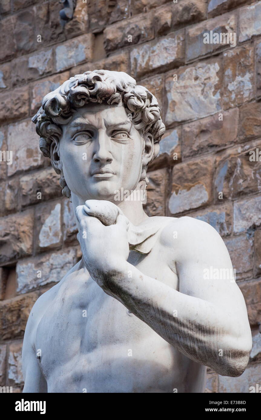 Le David, de Michel-Ange, le Palazzo Vecchio, Piazza Signoria, Florence (Firenze), site de l'UNESCO, Toscane, Italie Banque D'Images