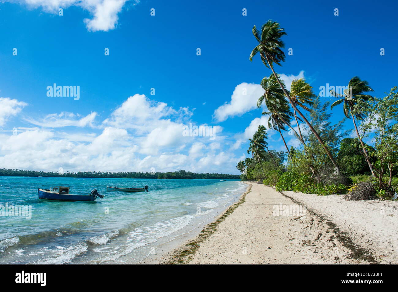 Plage de sable blanc bordée de cocotiers sur un îlot de Vavau, Vavau, Tonga, Pacifique Sud, du Pacifique Banque D'Images