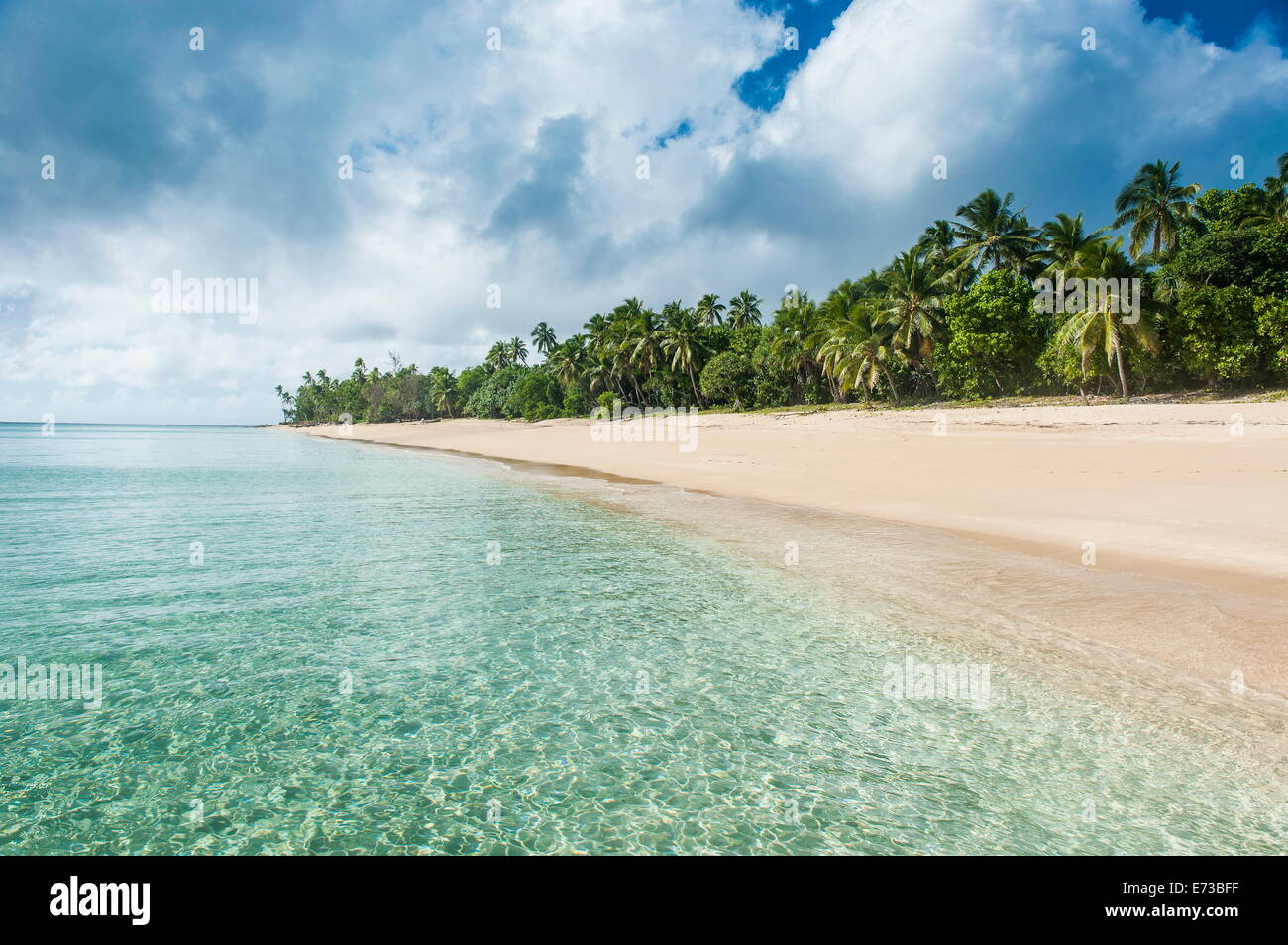 Plage de sable blanc bordée de cocotiers, à Haapai Haapai, Tonga, Pacifique Sud, du Pacifique Banque D'Images