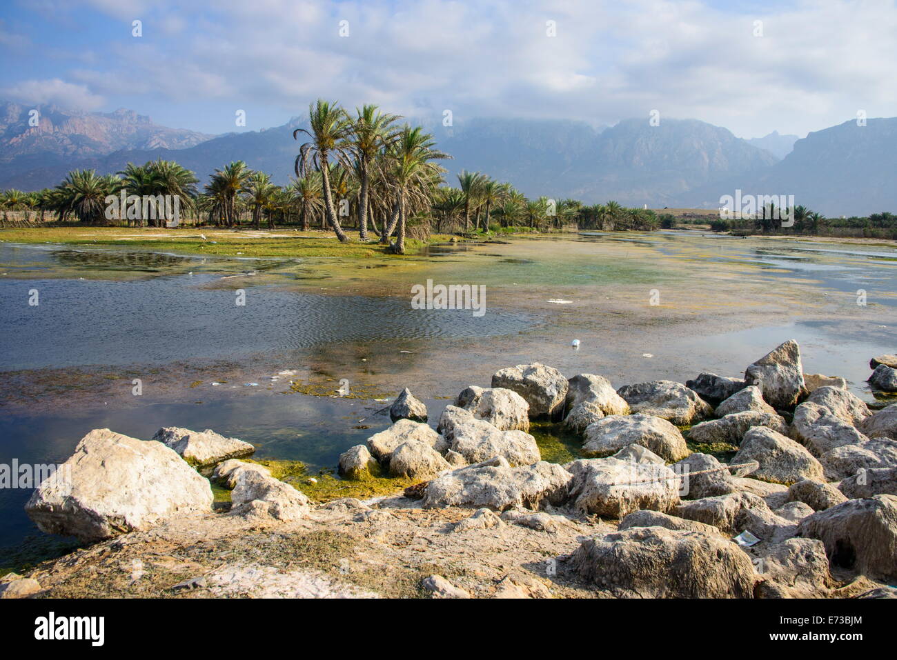 Les marais à l'extérieur de Hadibo, capitale de l'île de Socotra, Site du patrimoine mondial de l'UNESCO, au Yémen, au Moyen-Orient Banque D'Images