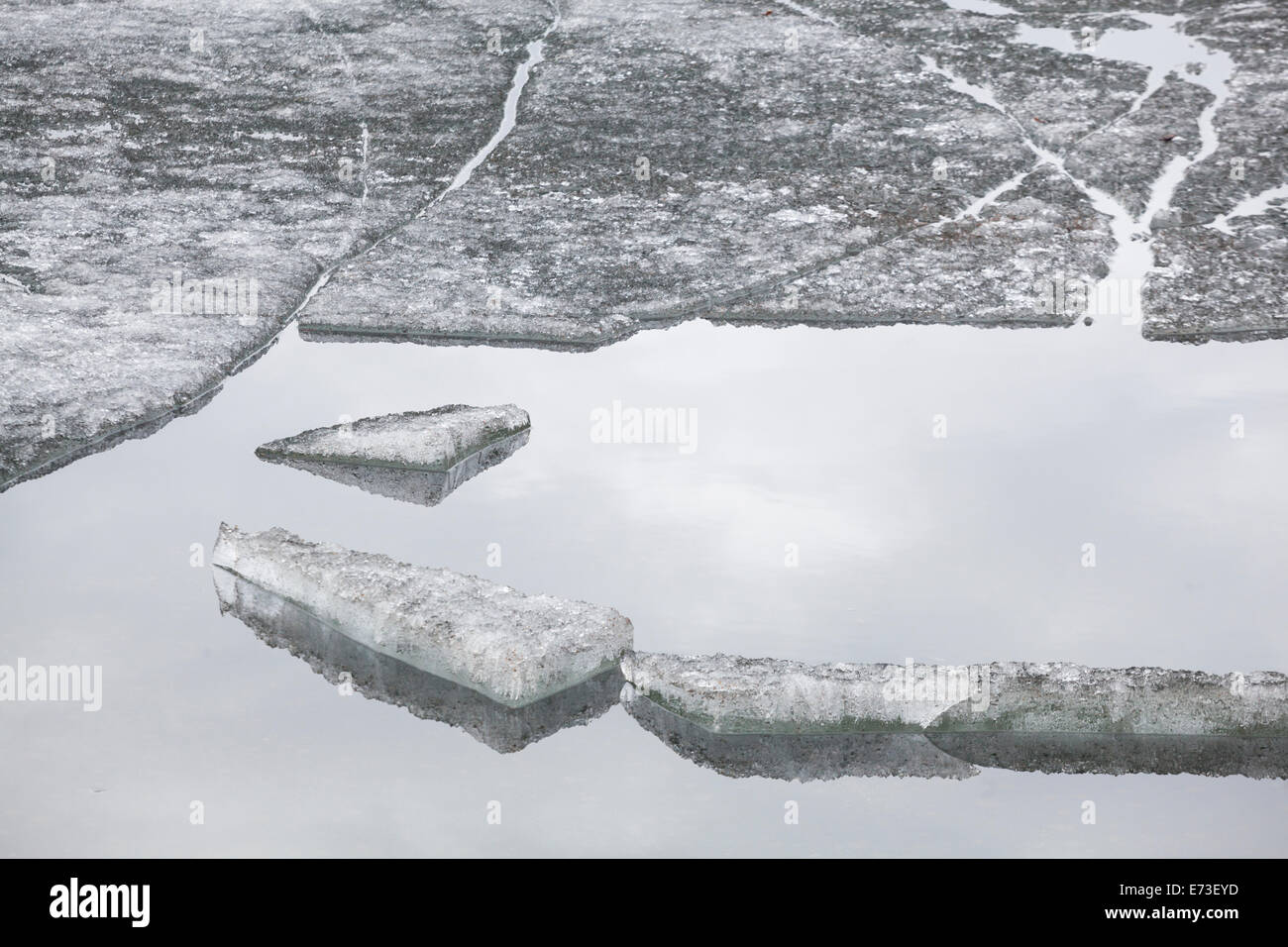 Dérive de glace flottante à Mirror Lake State Wayside Park, Alaska, Chugiak. Banque D'Images