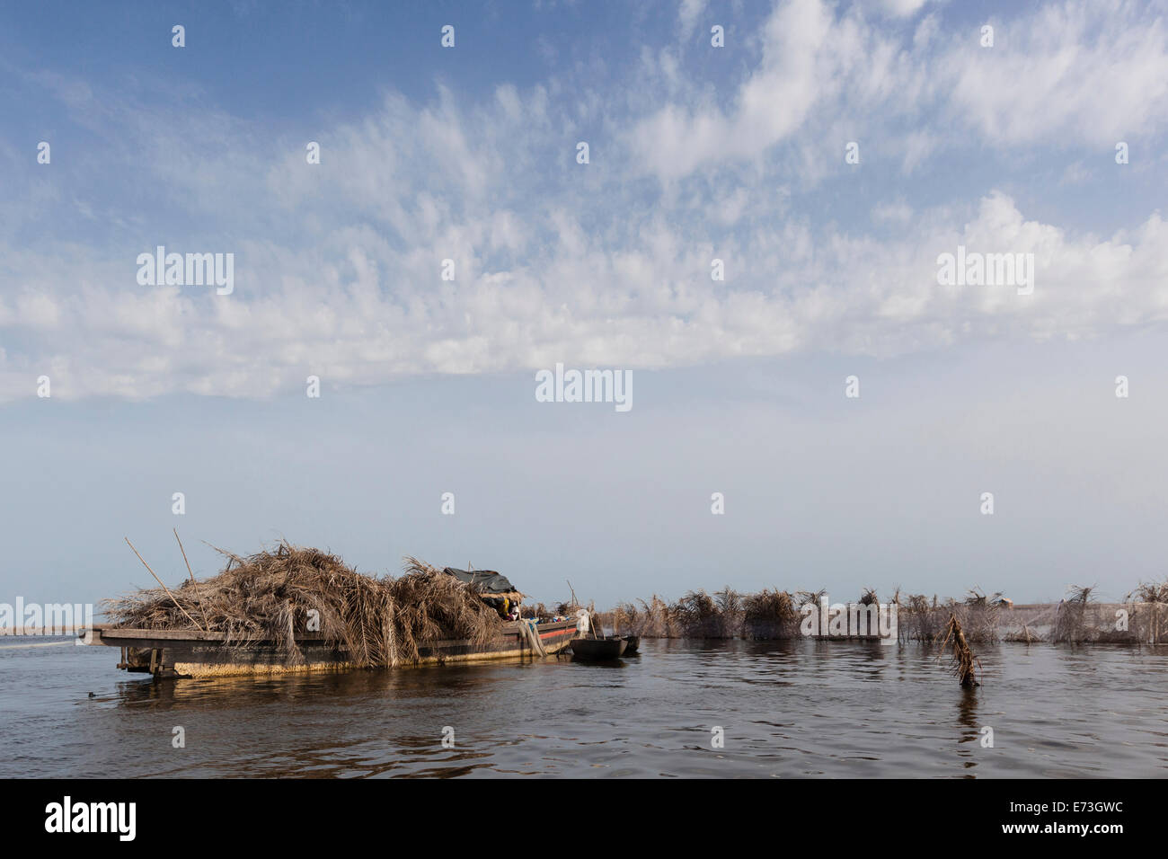 L'Afrique, Bénin, Ganvie. Un cargo rempli de feuilles de palmier. Banque D'Images