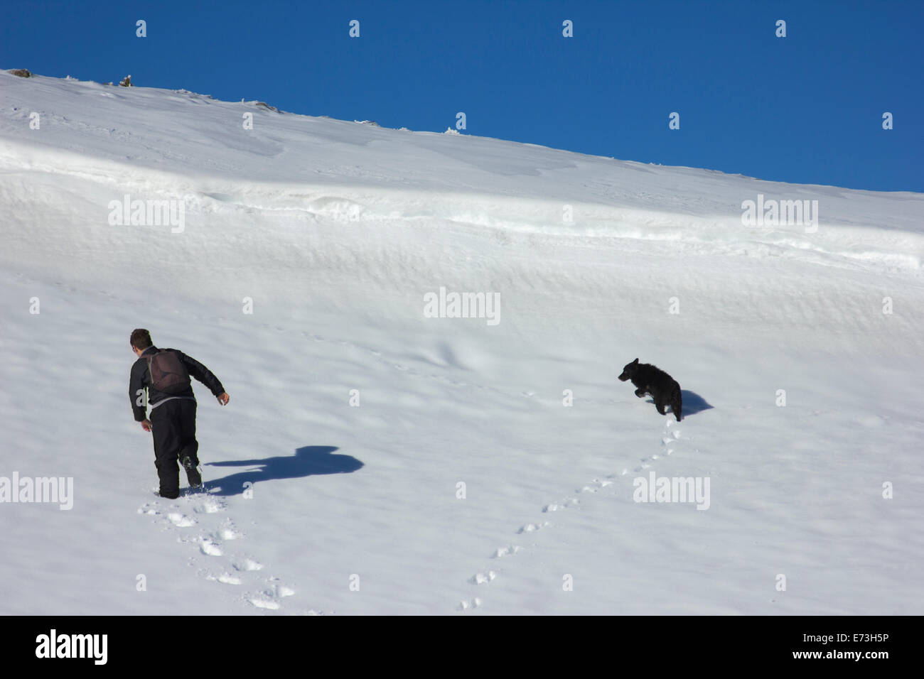 Randonneur et chien formant un cœur dans la neige Banque D'Images