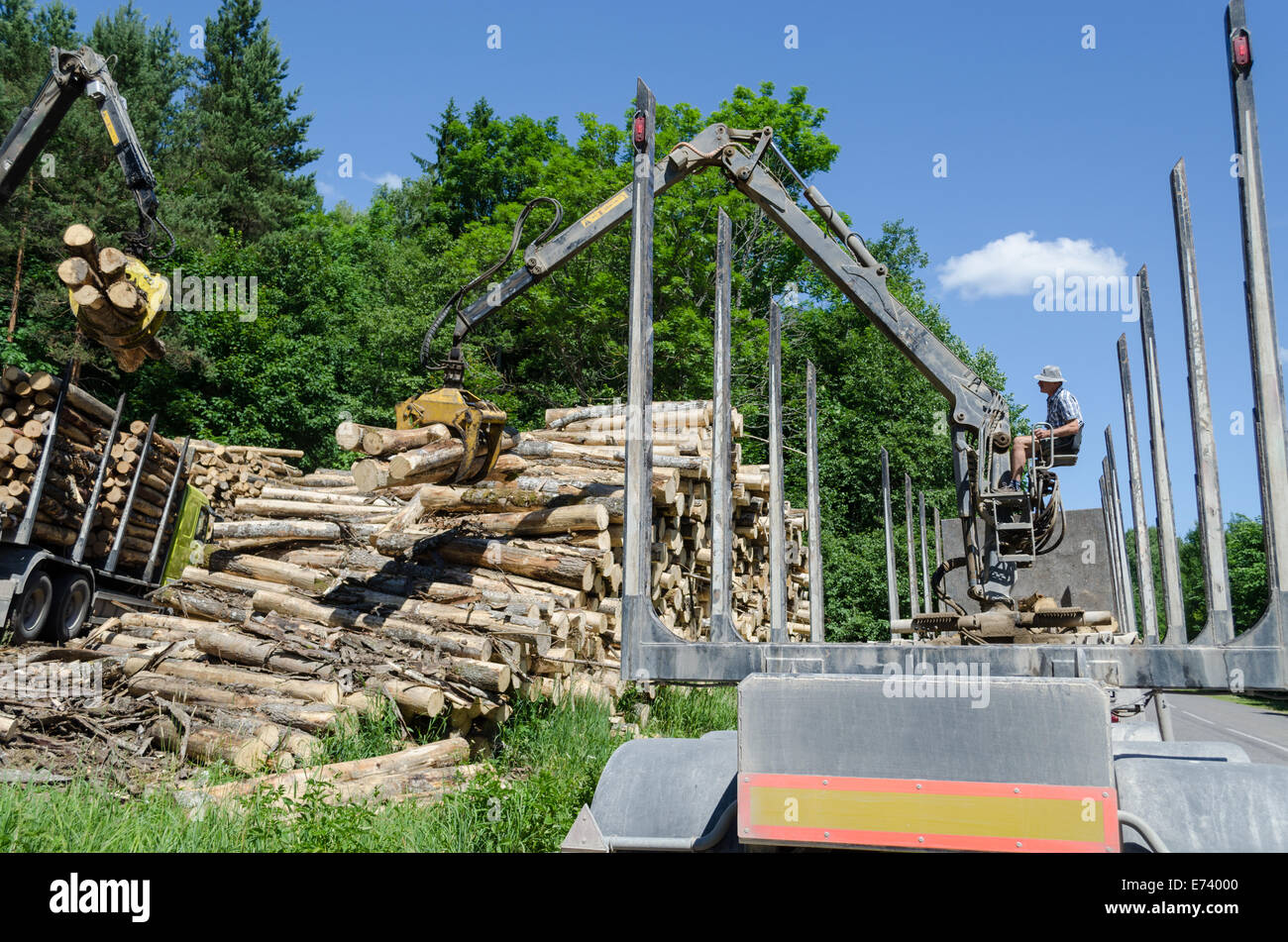 L'homme travailleur charger arbre abattu de sciage avec grue camion lourd de bois remorque pour le transport. L'industrie forestière. Banque D'Images