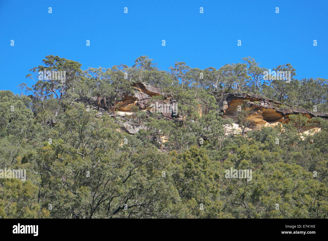 Grès de Sydney est le nom commun de bassin Sydney hawkesbury grès, New South Wales, Australie Banque D'Images