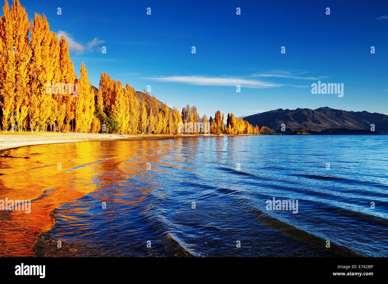 Paysage d'automne, Lake Wanaka, Nouvelle-Zélande Banque D'Images