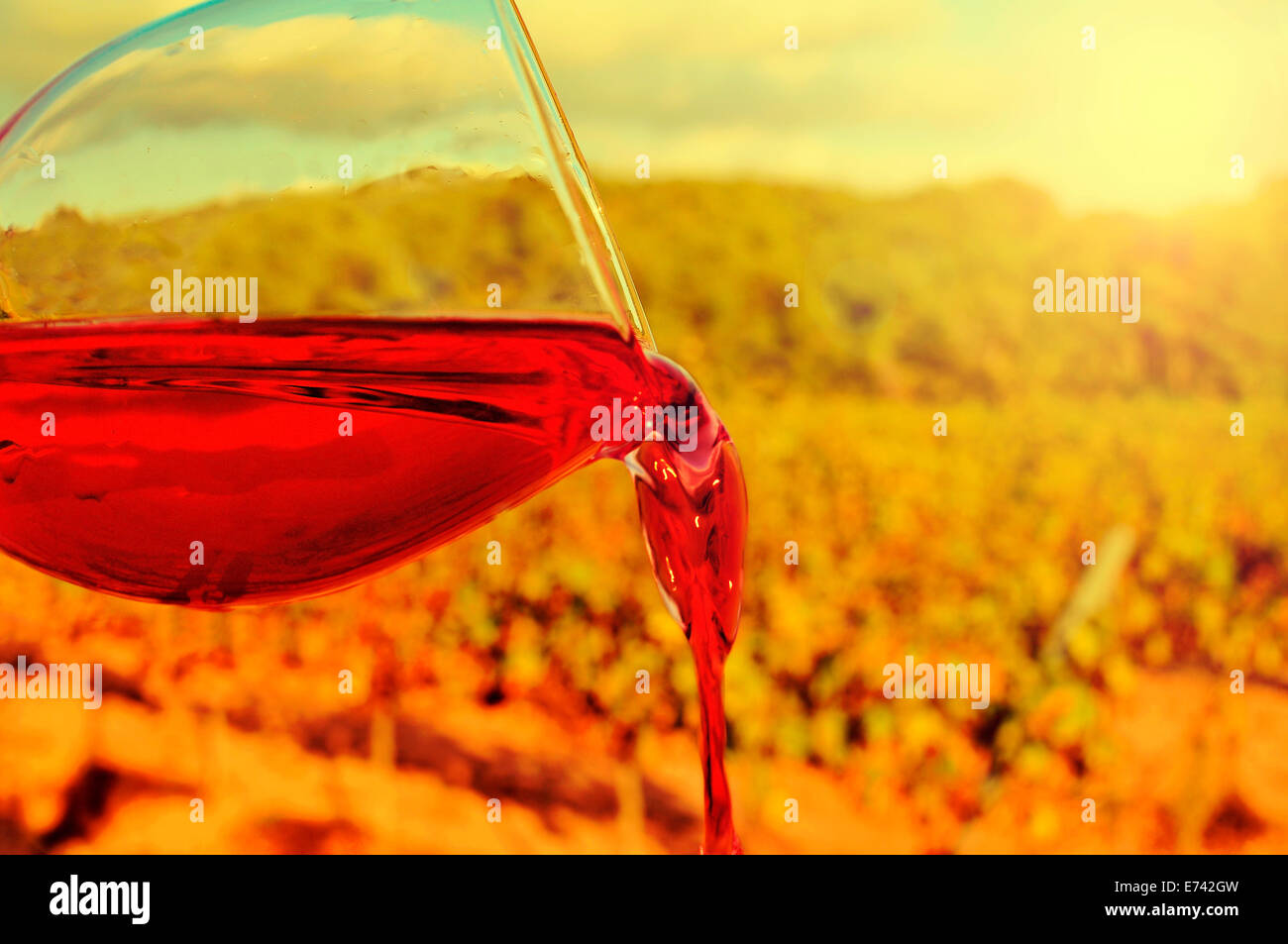 Libre d'un verre de vin rouge dans un vignoble Banque D'Images