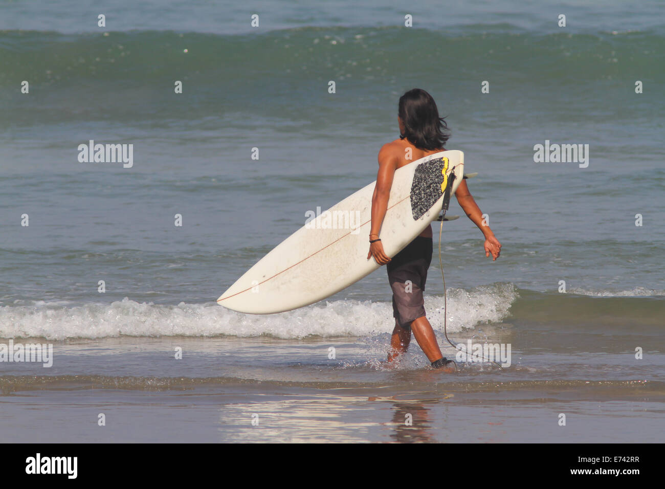 Surfeur sur la plage. Sri Lanka Banque D'Images