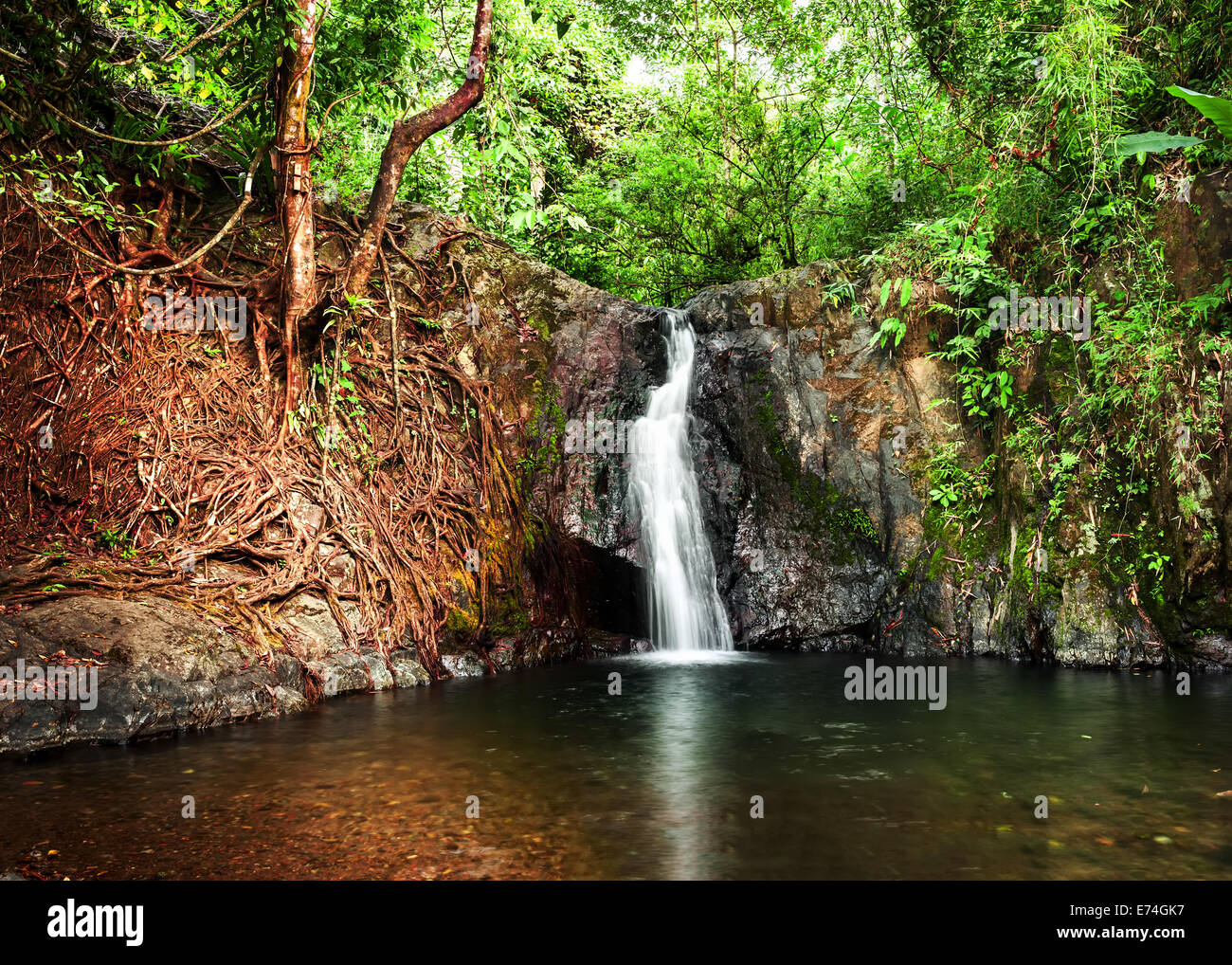 Paysage de forêt tropicale avec des plantes et l'eau qui coule dans la jungle de la petite cascade. Vang Vieng, Laos Banque D'Images Paysage de forêt tropicale avec des plantes et l'eau qui coule dans la jungle de la petite cascade. Vang Vieng, Laos Banque D'Images