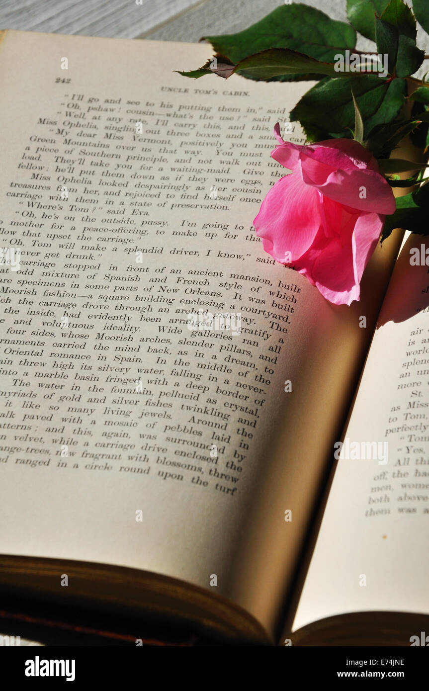 Vieux livre et rose Photo Stock - Alamy