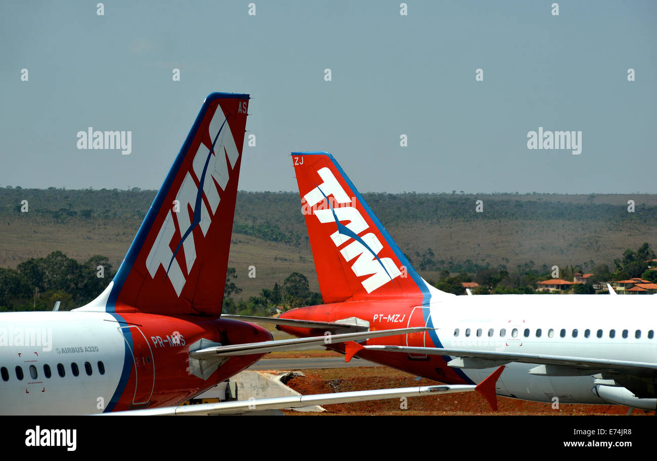 La queue des deux Airbus A 320 de la compagnie Tam à l'aéroport international de Brasilia Brésil Banque D'Images