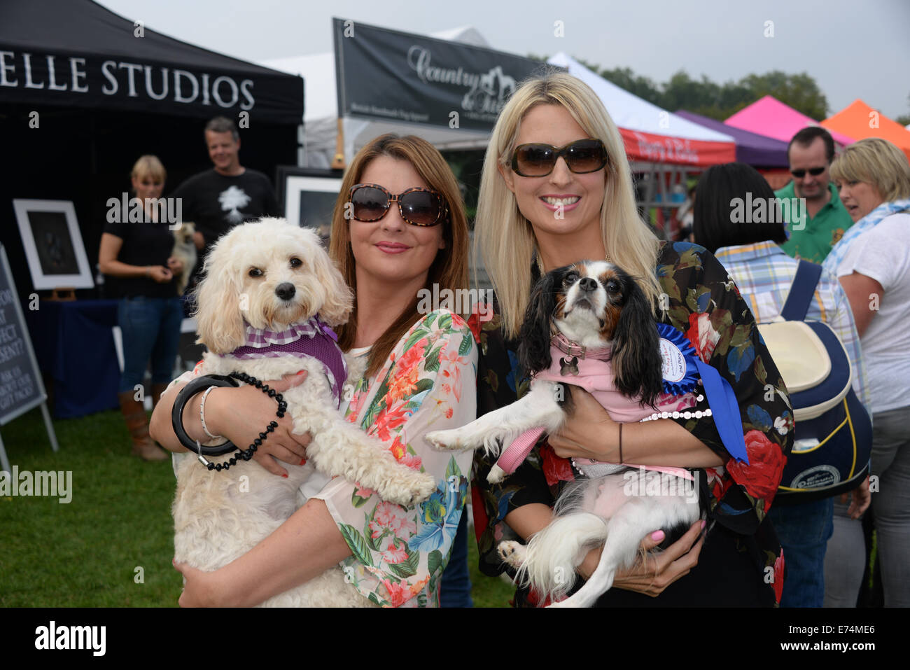 Londres, Royaume-Uni. Sep 6, 2014. Lucy le petit chien gagne la deuxième place de la "golden oldies" et son propriétaire à l'aide de petits, le chiot Parade et fun dog show à accroître la sensibilisation de l'agriculture au commerce cruel chiot Primrose Hill, Londres. Credit : Voir Li/Alamy Live News Banque D'Images
