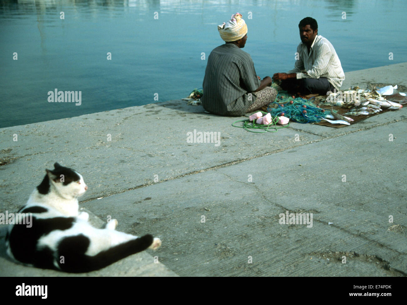 Travailleurs migrants indiens avec des poissons surveillés par le chat du port, Qatar Banque D'Images