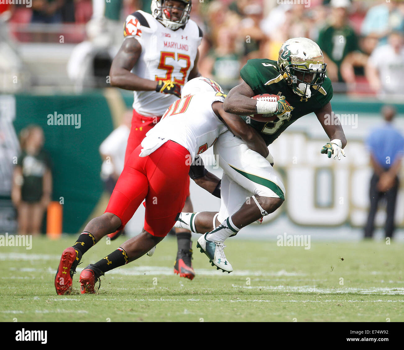 City, en Floride, aux Etats-Unis. 6Th Sep 2014.South Florida Bulls running back Marlon Mack (5) est abordé sur un gain par le Maryland Terrapins chantiers court arrière défensif Anthony Nixon (20) au cours du deuxième trimestre chez Raymond James Stadium de Tampa le Samedi, Septembre 6, 2014. Le Maryland a défait la Floride du sud de 24 à 17. Credit : Octavio Jones/Tampa Bay Times/ZUMA/Alamy Fil Live News Banque D'Images