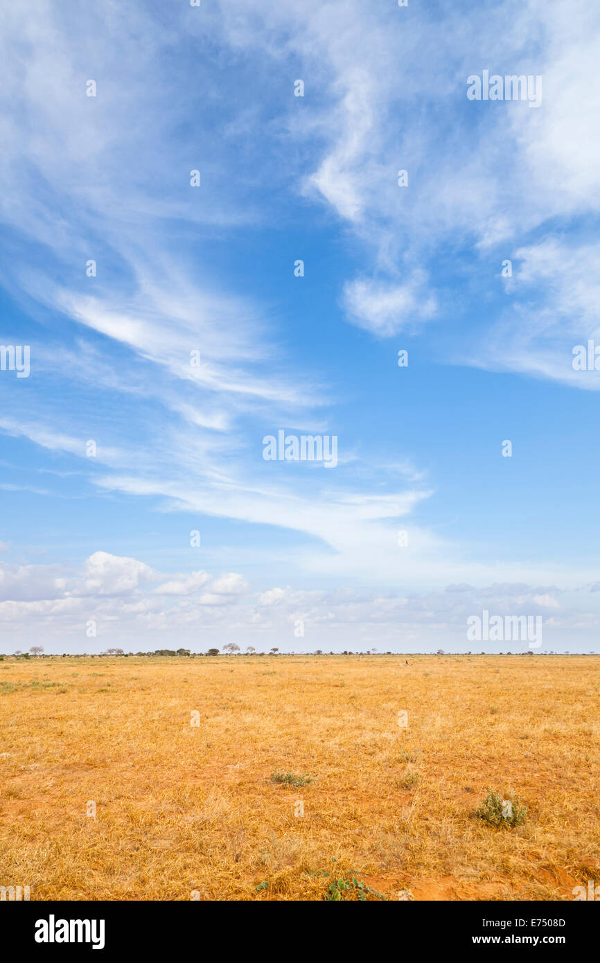 Paysage de savane sèche dans le parc national de Tsavo East au Kenya. Banque D'Images