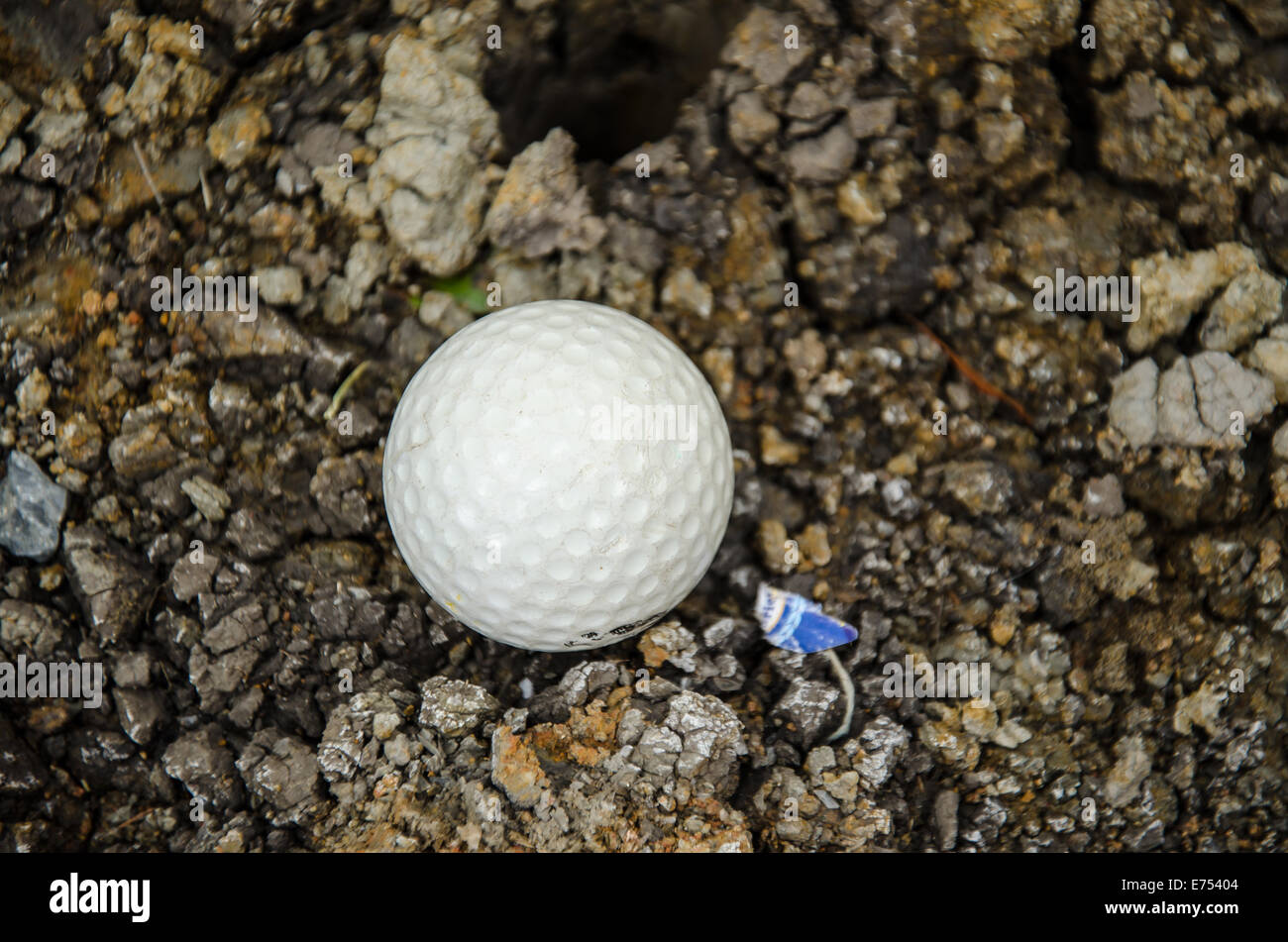 Balle de golf blanche sur le rocher et arbre Banque D'Images