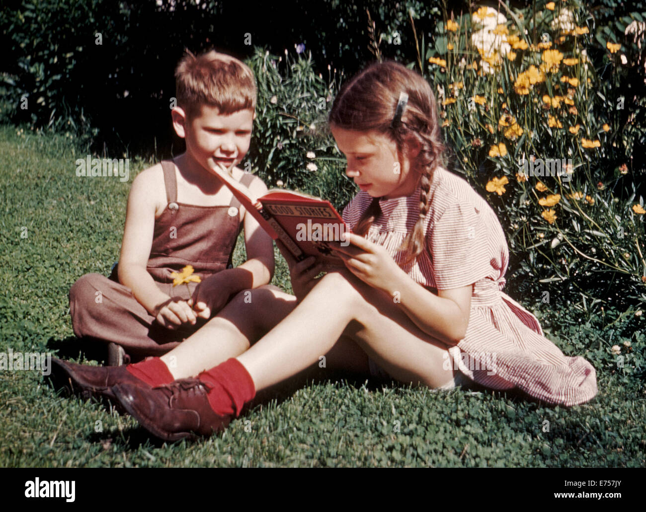 En 1945, un jeune frère et soeur ont été photographiés au début de film couleur Kodachrome en lisant un livre sur une journée d'été dans l'arrière-cour de leur maison. Comme l'un des tout premiers films de transparence (Diapositive), 35mm Kodachrome Kodak avait un film très lente vitesse de seulement ASA/ISO 10. A été introduit en 1935 Kodachrome et est passé par une variété de film plus rapide des vitesses (jusqu'à 200 ASA/ISO) et d'autres améliorations techniques jusqu'à la Eastman Kodak Company fabrication le film populaire en 2009. 1945 Historique photo. Banque D'Images