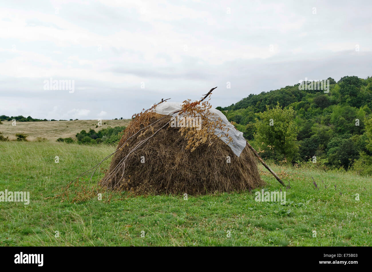 Paysage pastoral dans Lulin montagne avec bundle of hay Banque D'Images