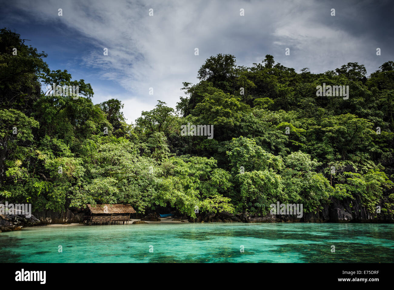 Plage tropicale de l'Île Coron Busanga Palawan aux Philippines Banque D'Images