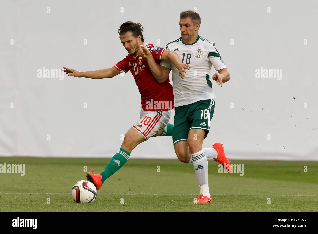 Budapest, Hongrie. 7 Septembre, 2014. Duel entre Hunagrian Gergely Rudolf (l) et Aaron Hughes de l'Irlande du Nord Irlande du Nord au cours de la Hongrie par rapport à l'UEFA Euro 2016 football match qualificatif de Groupama Arena le 7 septembre 2014 à Budapest, Hongrie. Credit : Laszlo Szirtesi/Alamy Live News Banque D'Images