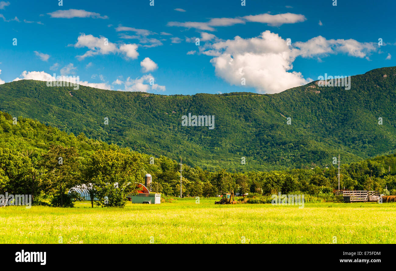 Les champs agricoles et la vue des Blue Ridge Mountains dans la vallée de Shenandoah, en Virginie. Banque D'Images