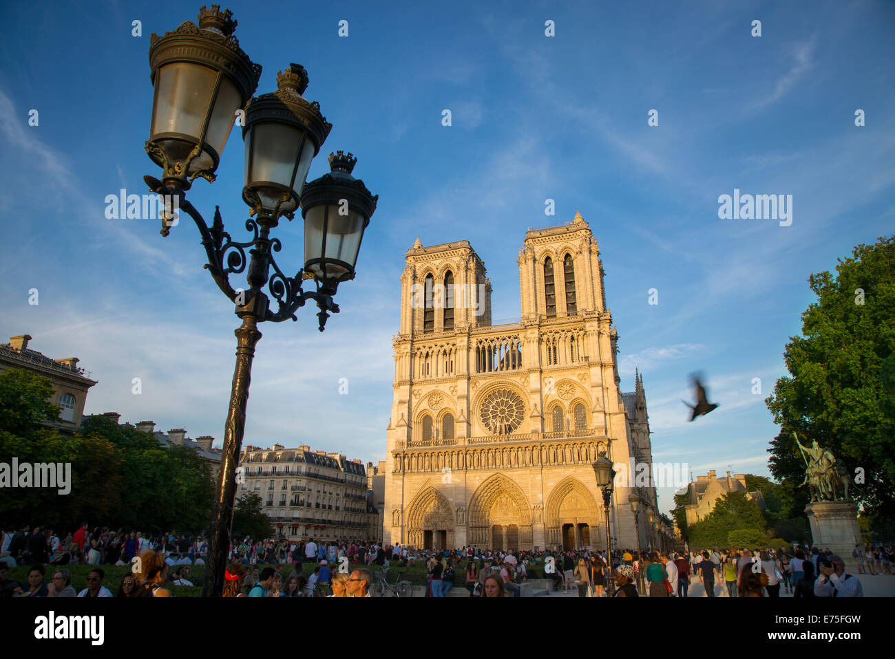 Soirée bondée ci-dessous Cathédrale Notre Dame, Paris, France Banque D'Images