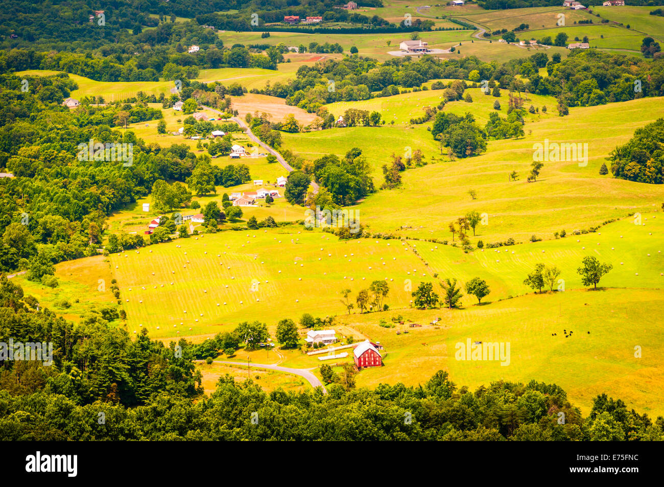 Fermes dans la vallée de Shenandoah, vu de Skyline Drive dans le Parc National Shenandoah, en Virginie. Banque D'Images