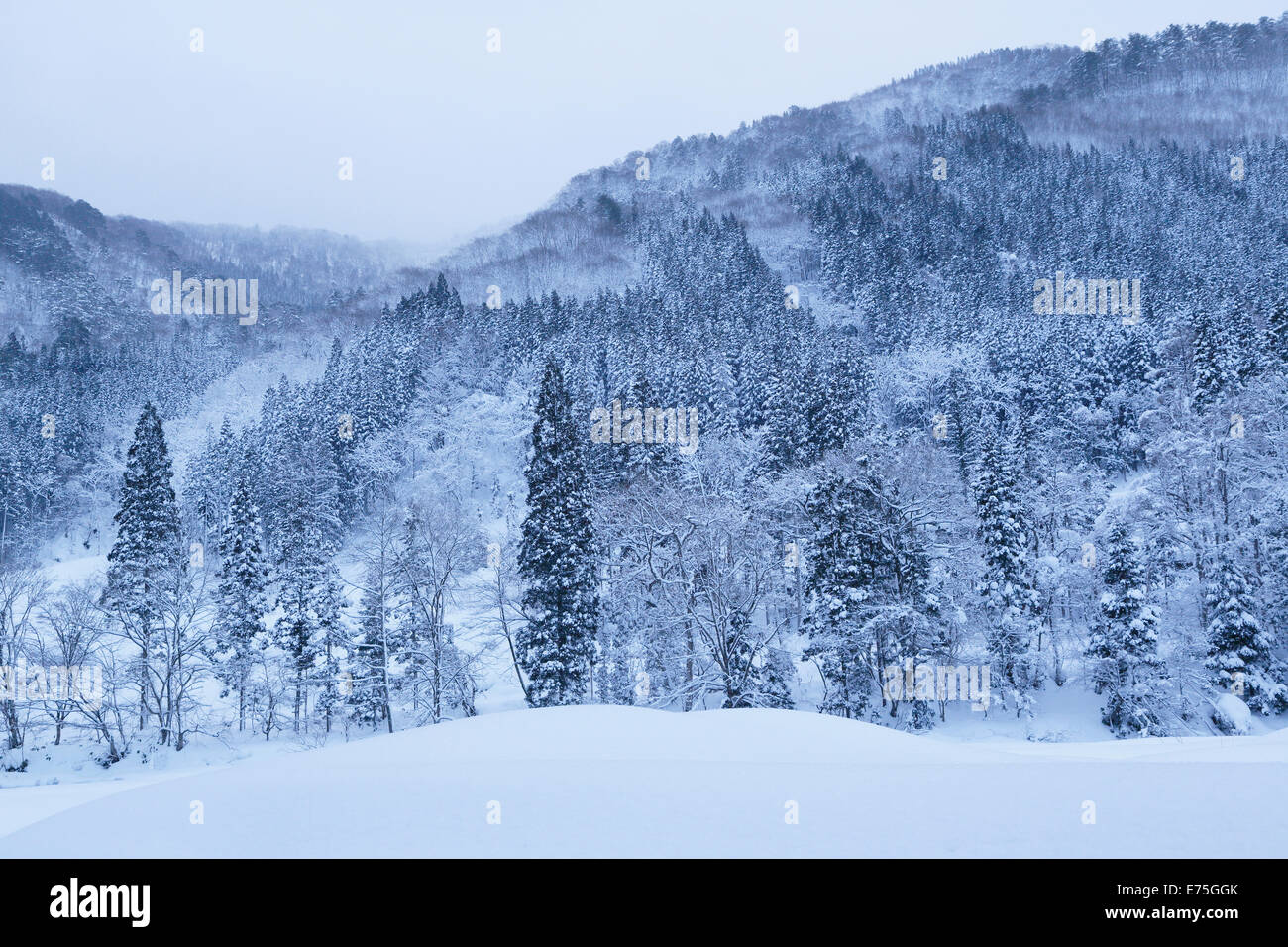 En hiver, la vallée de kaeri daki Banque D'Images