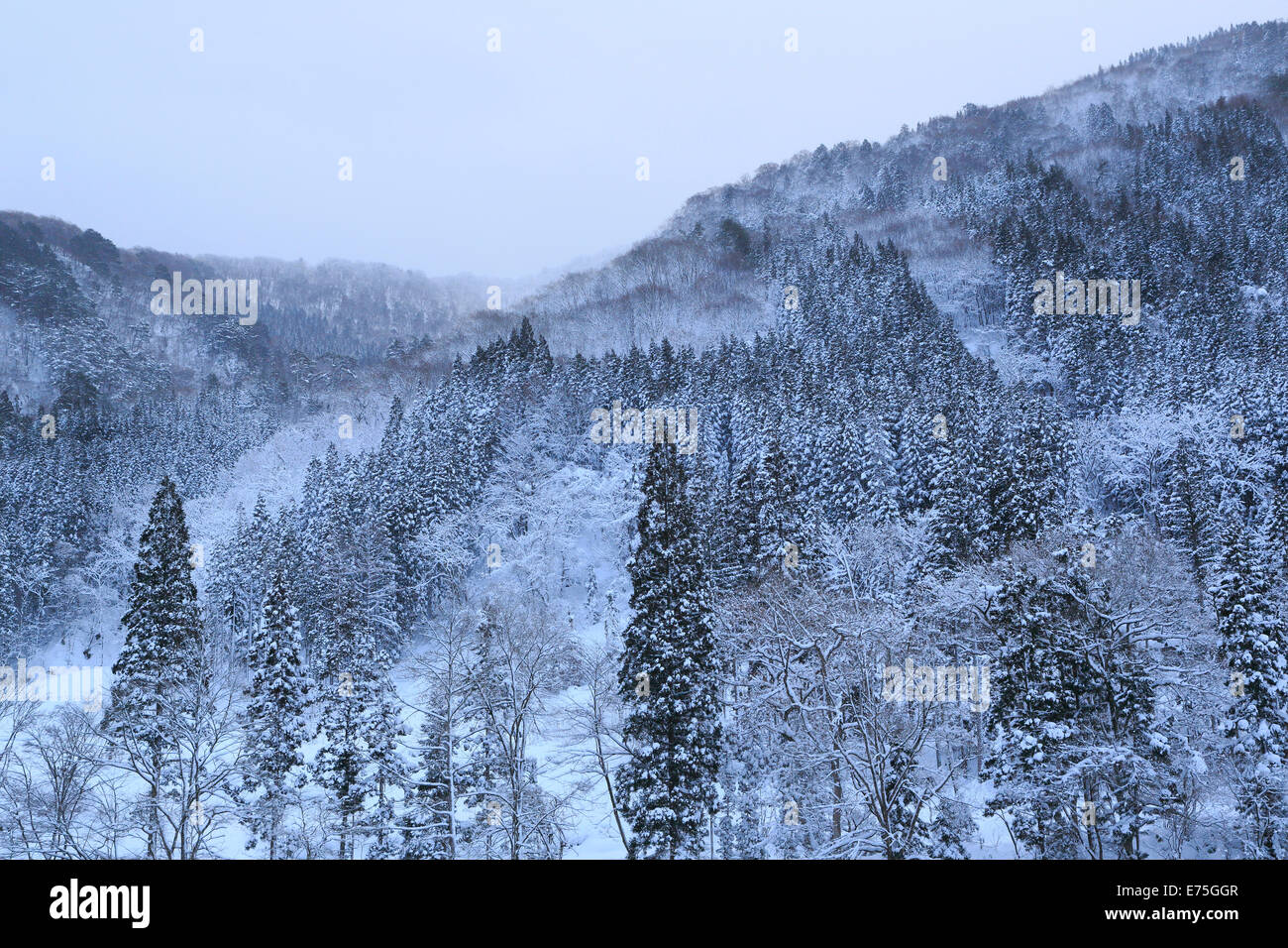 En hiver, la vallée de kaeri daki Banque D'Images