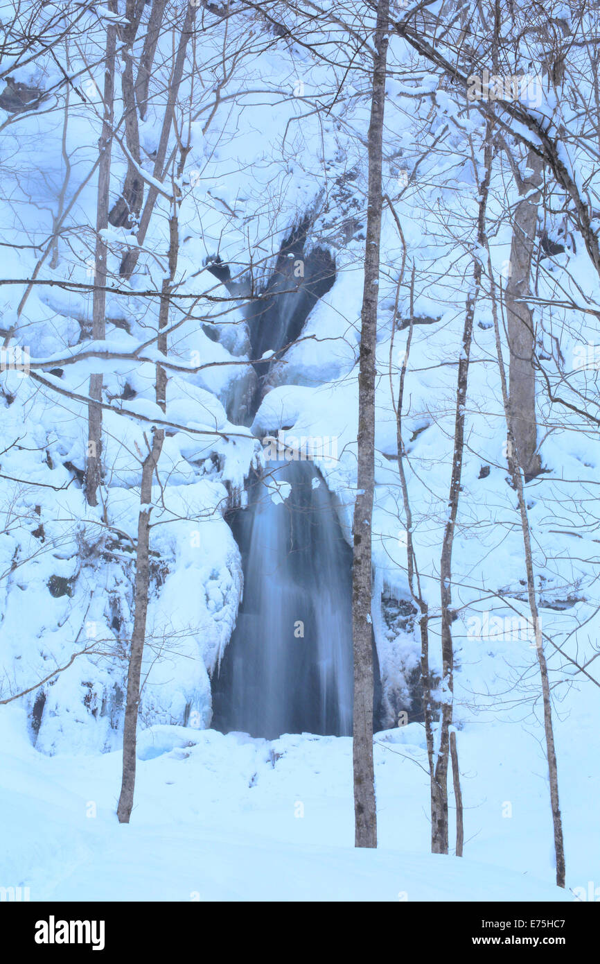 Cours d'oirase en hiver Banque D'Images