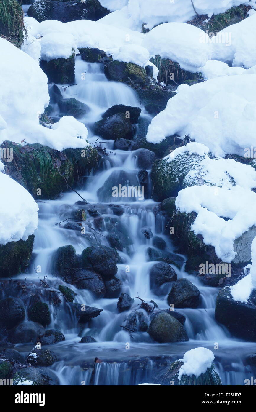 Le Japon, la Préfecture d'Aomori, rivière Oirase, congelé waterfal Banque D'Images