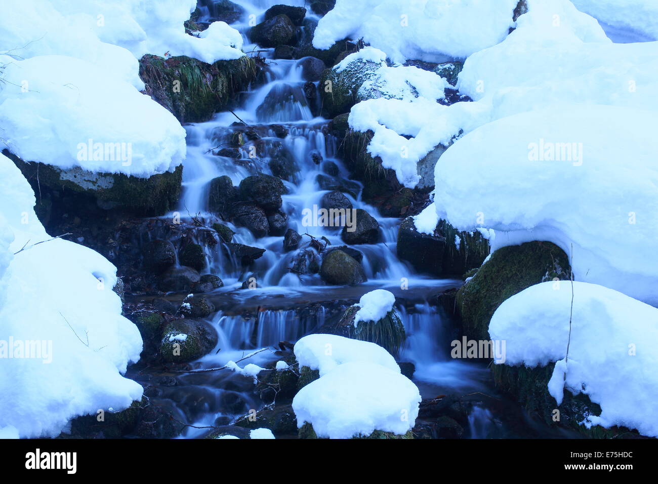 Le Japon, la Préfecture d'Aomori, rivière Oirase, congelé waterfal Banque D'Images
