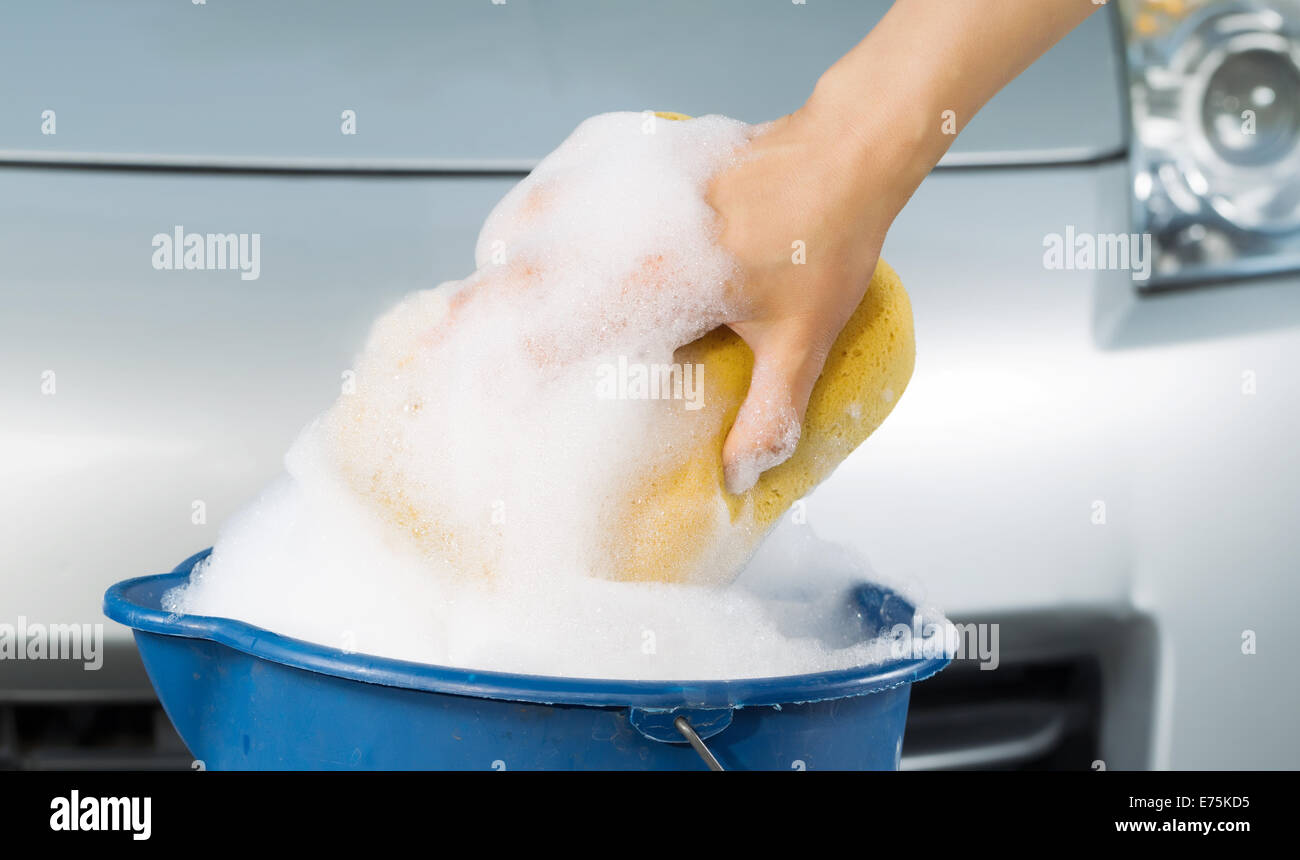 Gros Plan De L'éponge Verte Pour Le Lavage De Voiture Isolé Sur Fond Blanc  Banque D'Images et Photos Libres De Droits. Image 83241617