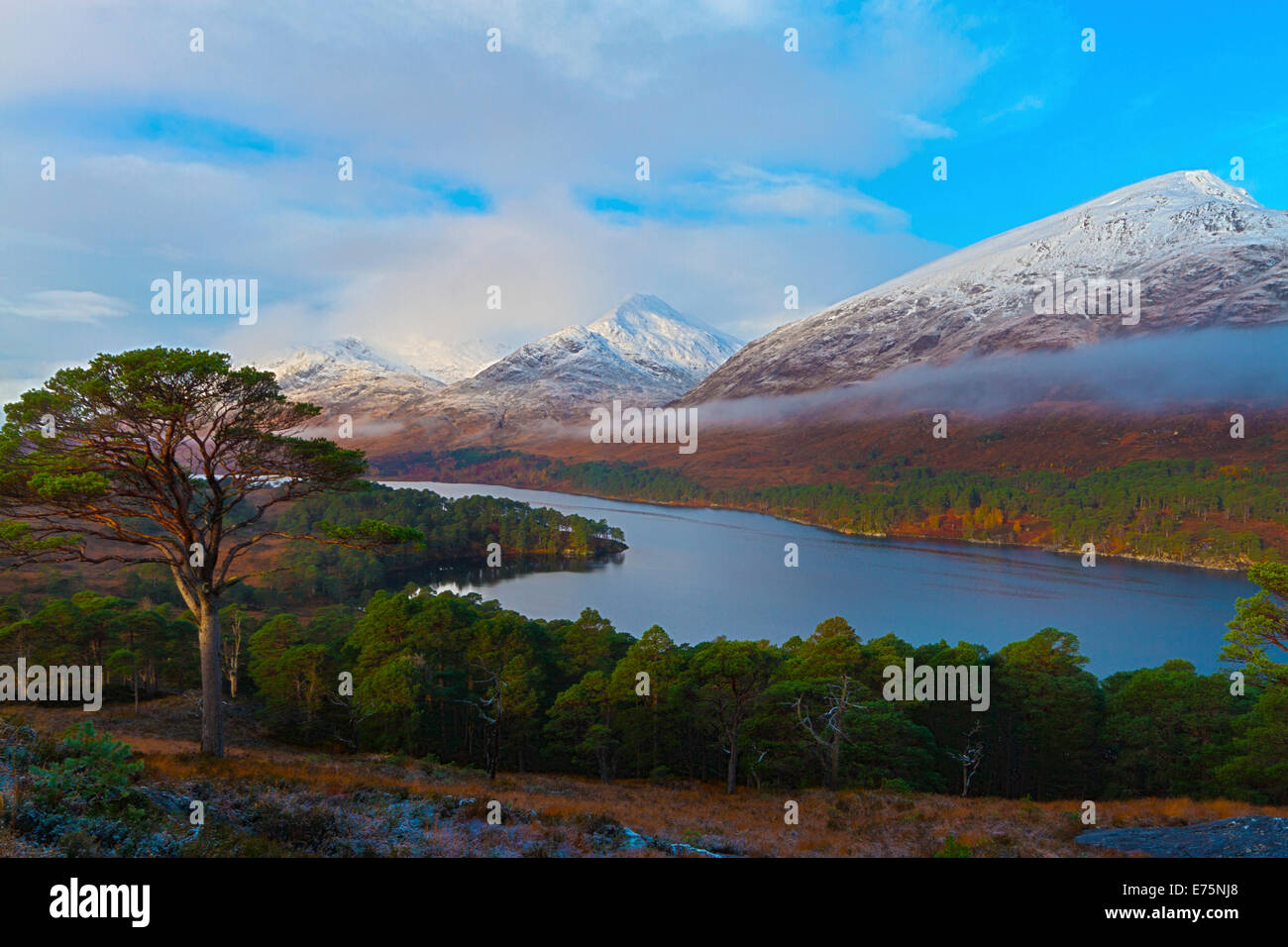 Glen Affric en automne, Ross et Cromarty Banque D'Images