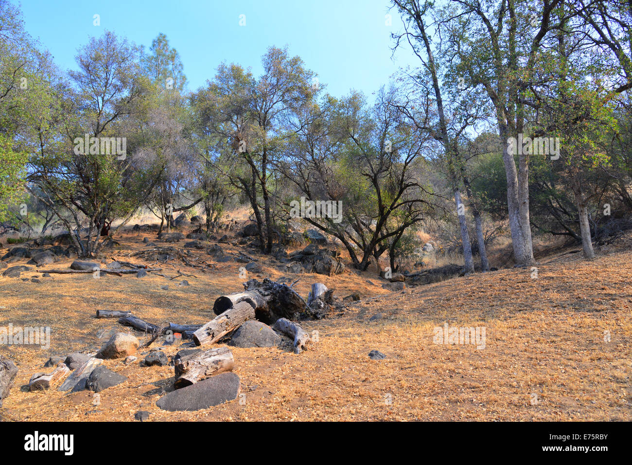 Oakhurst, Californie Banque D'Images