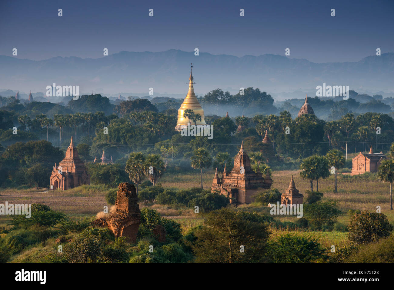 Temples, pagodes et stupas dans le complexe du temple du plateau de Bagan, Mandalay Division, Myanmar ou Birmanie Banque D'Images