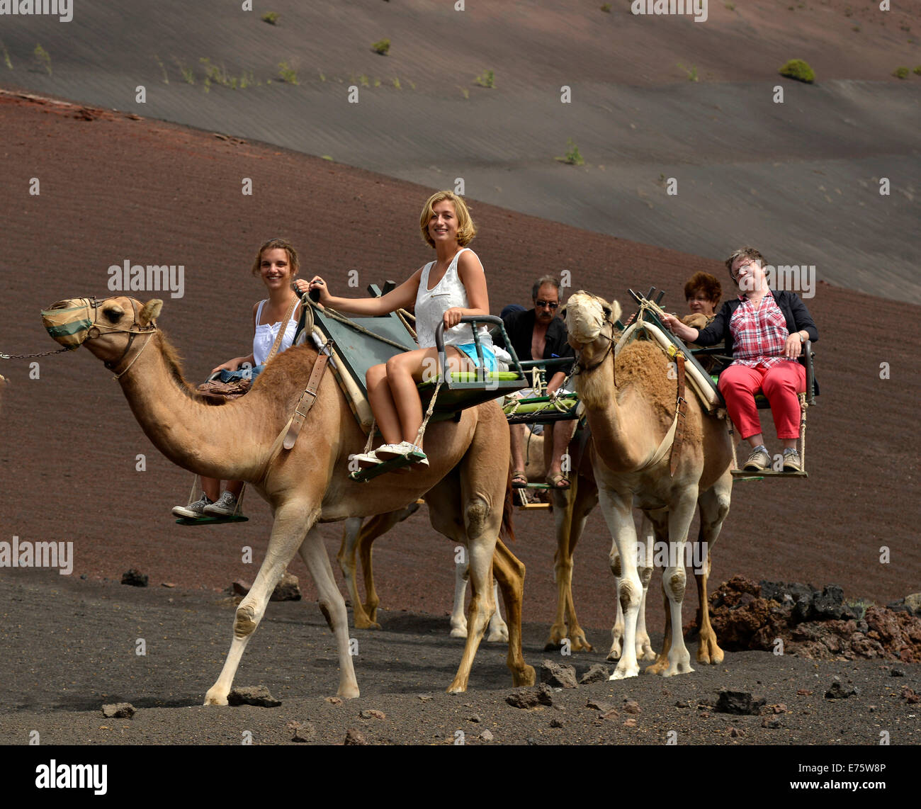 Les touristes à cheval sur des dromadaires, Montanas del Fuego, le Parc National de Timanfaya, Lanzarote, îles Canaries, Espagne Banque D'Images
