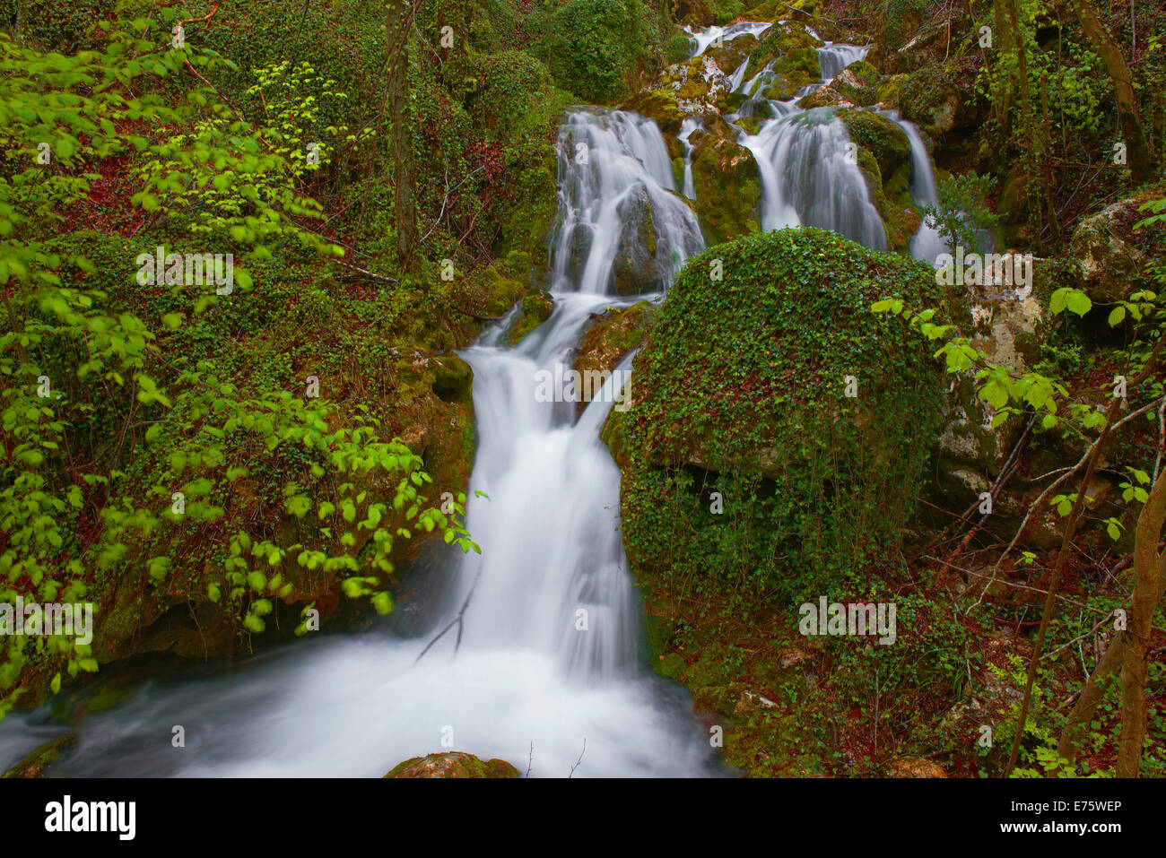 Urederra Rivière, Parc Naturel Urbasa-Andia, Baquedano, Navarra, Espagne Banque D'Images