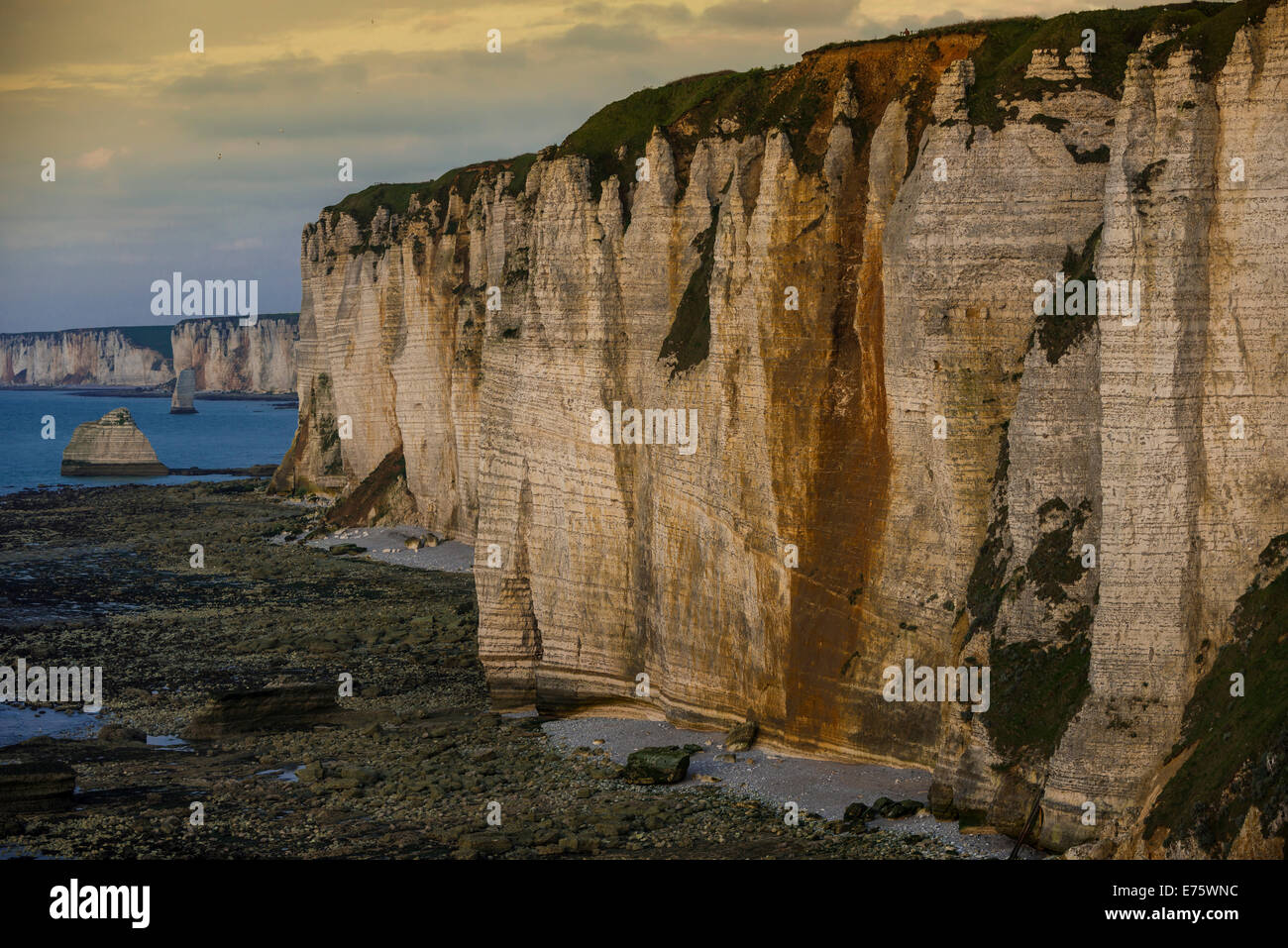 Côte avec des falaises de craie, Étretat, Normandie, France Banque D'Images