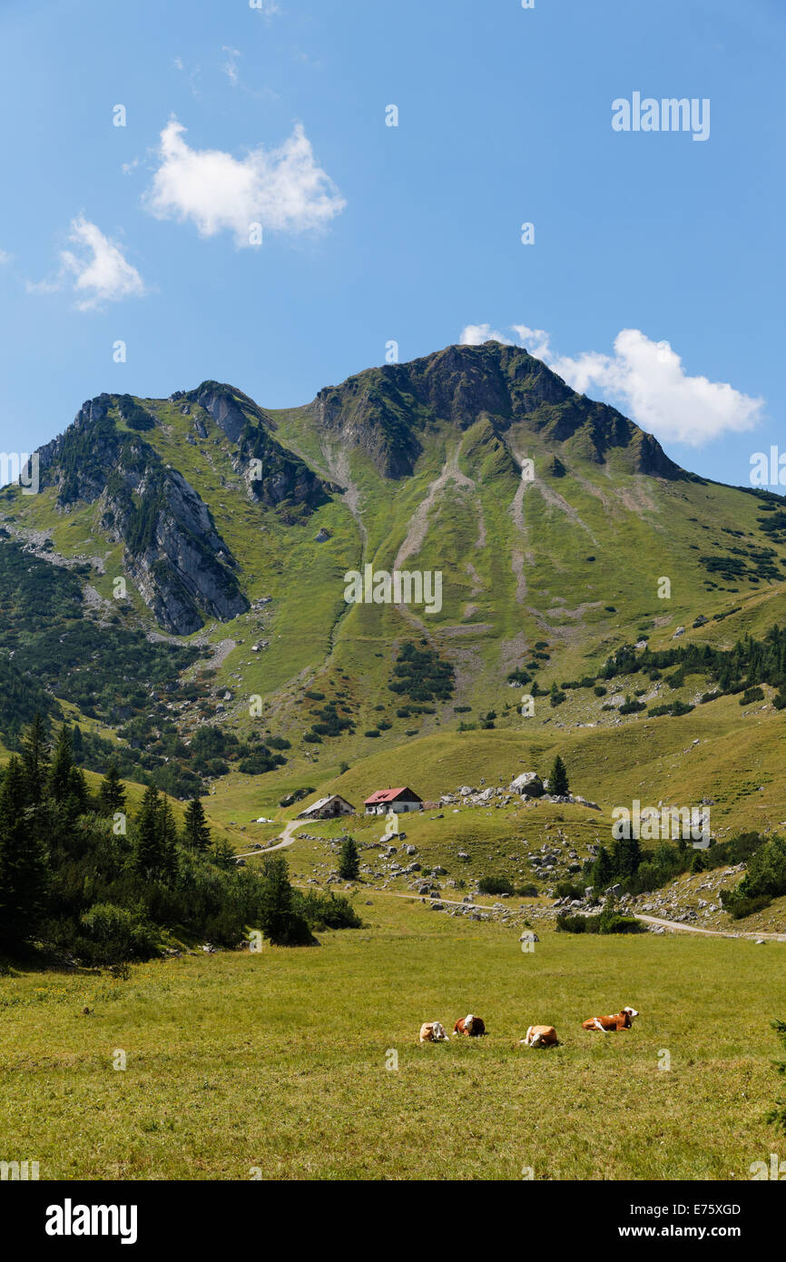 Mt ou Croda Rossa Rotwand et le Grosstiefental, alpage, Mangfall, montagnes, Bavière Haute-bavière Banque D'Images