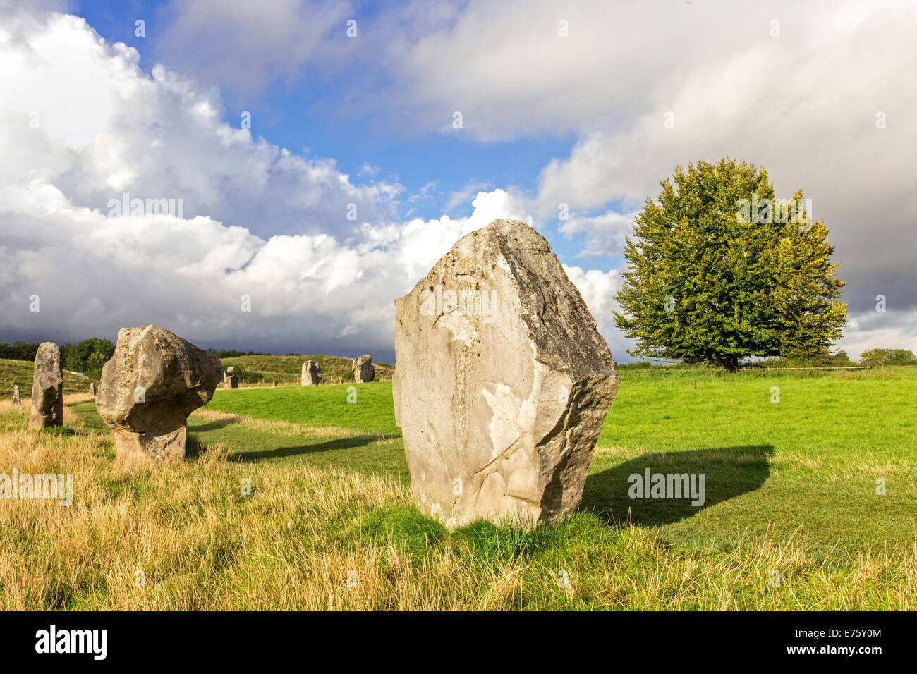 Avebury Stone Circle néolithique, Avebury, près de Marlborough, Wiltshire, England, UK Banque D'Images