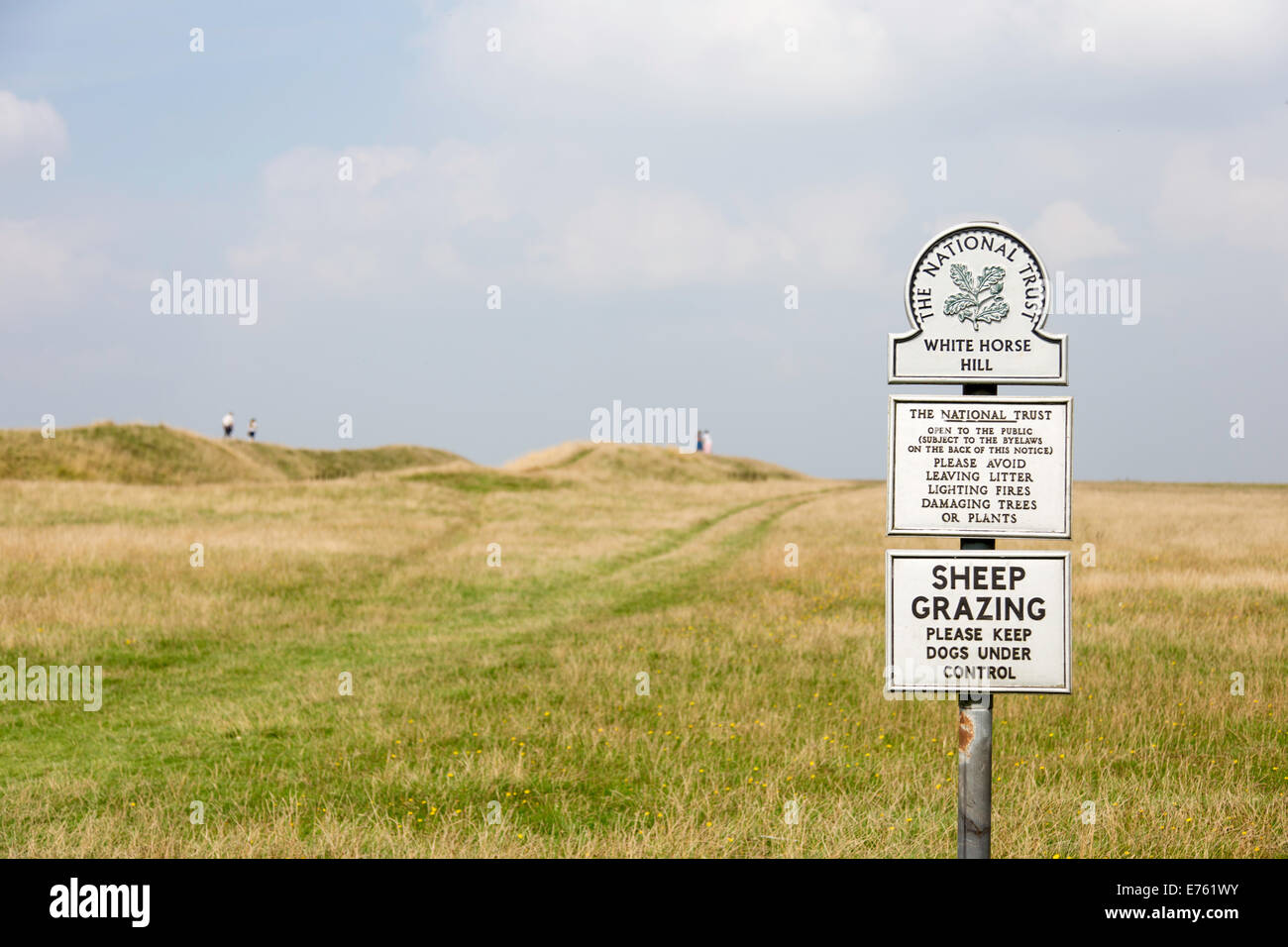 White Horse Hill sur Bratton Downs et les remblais d'Uffington Castle Hill fort de l'âge du Fer, Wiltshire, Angleterre, Banque D'Images