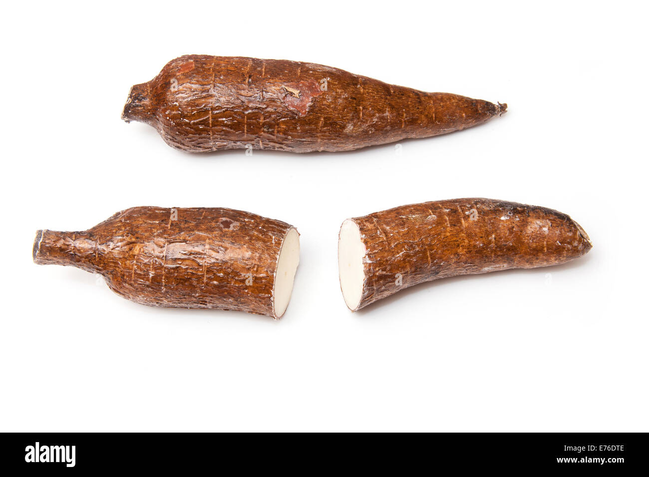 Le manioc ou Yuca un légume-racine utilisée pour faire le tapioca isolated on a white background studio Banque D'Images