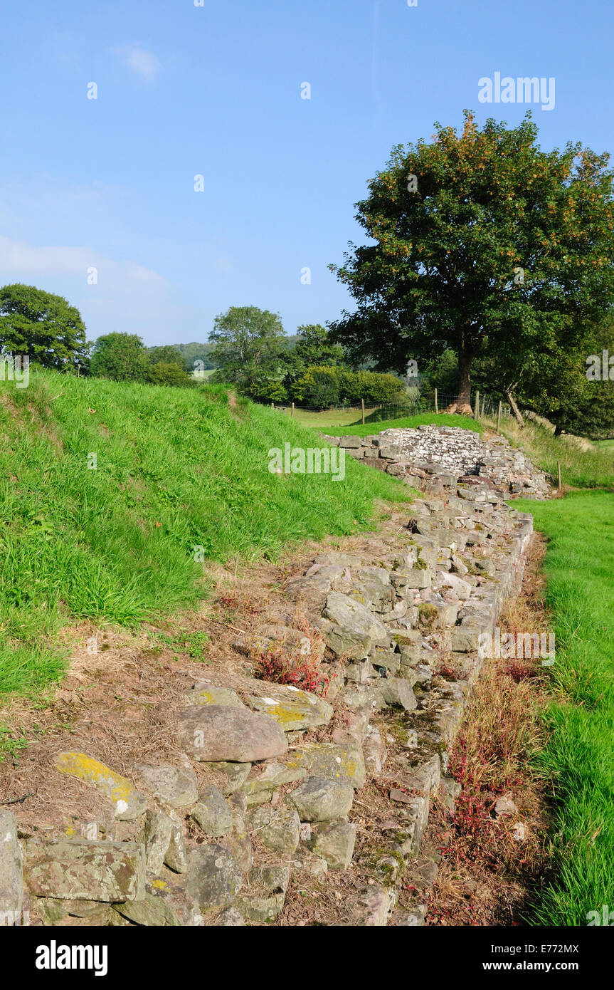 Y Gaer Brecon Gaer Hill Fort romain près de Aberyscir brecon au Pays de Galles Cymru UK GO Banque D'Images