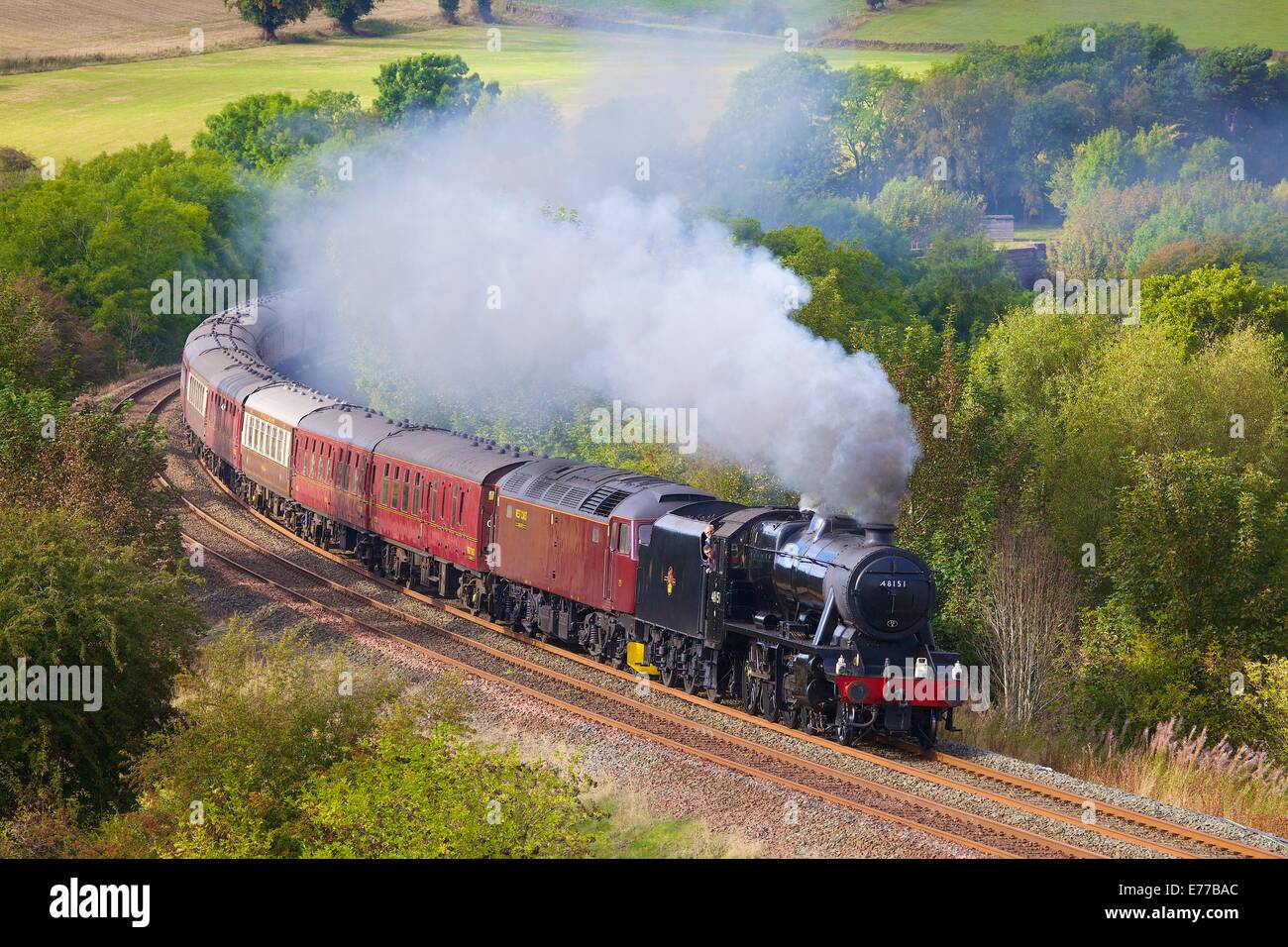 LMS Classe Stanier 8F 48151, près de train à vapeur de la ferme du Bois bas Baron Armathwaite Eden Valley, Cumbria, England, UK. Banque D'Images