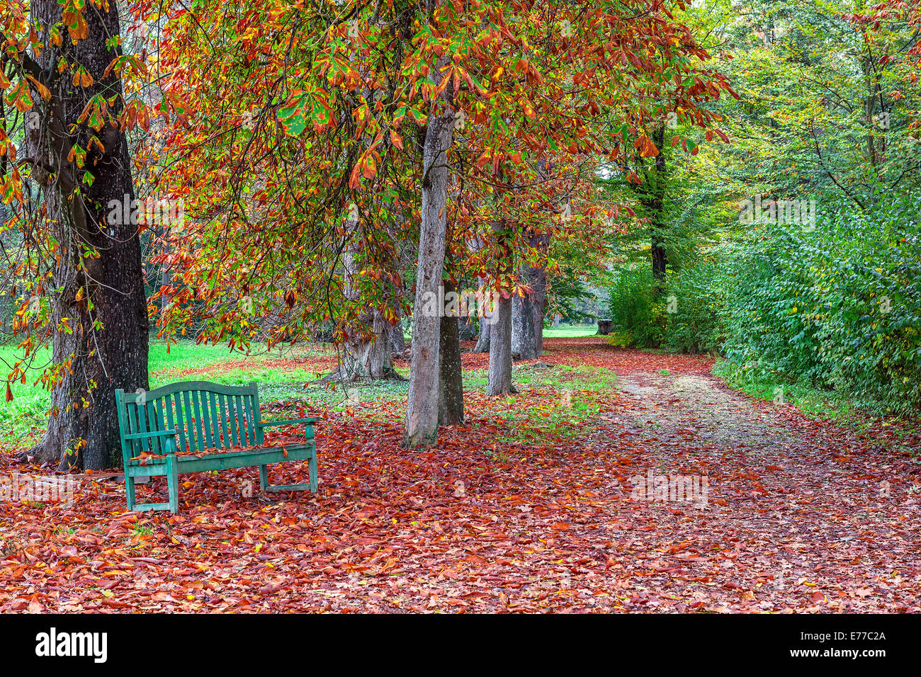 Banc solitaire sur le sol recouvert de feuilles d'automne rouge tombé dans le parc de Racconigi, Italie. Banque D'Images