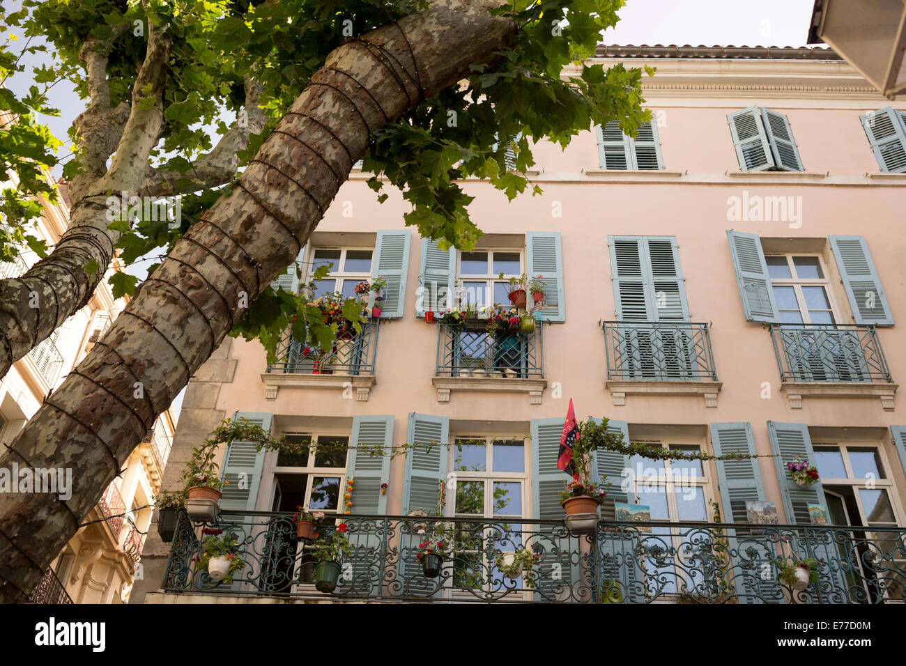 Appartement Maison en place ombragée d'arbres dans la vieille ville de Toulon France Banque D'Images