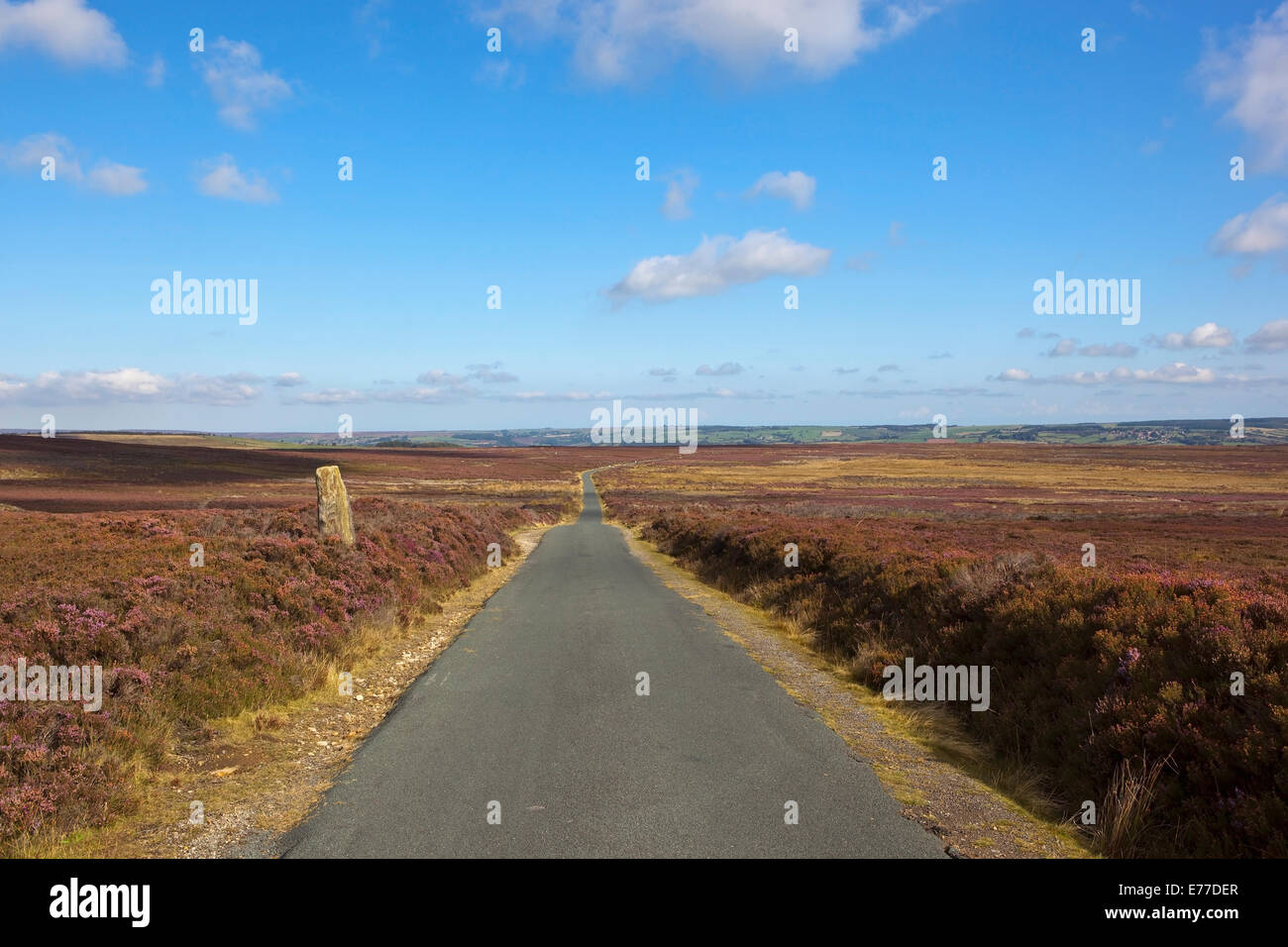 Une route à travers les collines de landes balayées par des North York Moors en automne avec l'ancienne en pierre monolithe ou permanent Banque D'Images