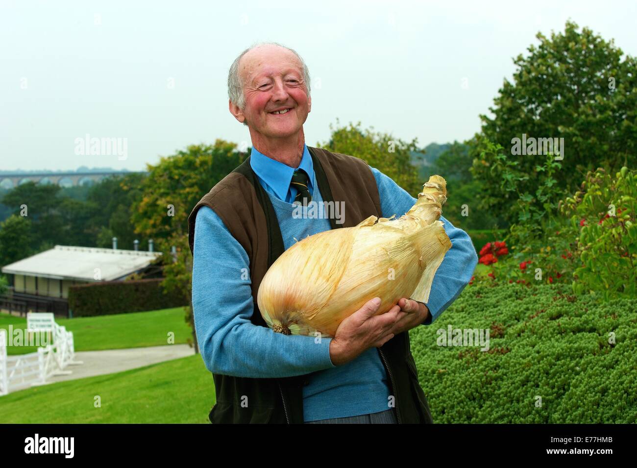 Harrogate, Yorkshire, UK. 8 Septembre, 2014. Harrogate Automne Show Peter Glazebrook détenteur du record mondial pour la plus lourde jamais d'oignons cultivés à 18lb 1/2 oz. Credit : Keith Foster/Alamy Live News Banque D'Images